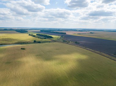 Hava aracı görüntüsü. Ukrayna 'daki tarım alanları.