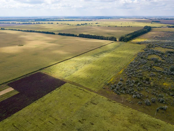 Aerial Drone View Agricultural Fields Ukraine — Stock Photo, Image