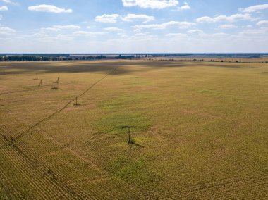 Hava aracı görüntüsü. Ukrayna 'daki tarım alanları.