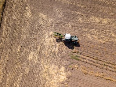 Hava aracı görüntüsü. Traktör patates tarlasında patates topluyor..