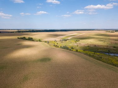 Hava aracı görüntüsü. Ukrayna 'daki tarım alanları.