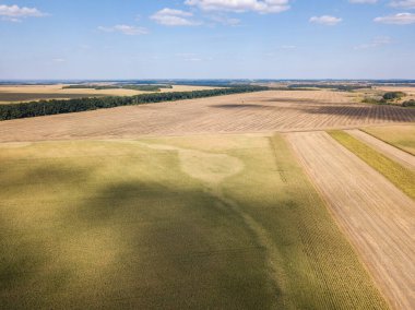 Hava aracı görüntüsü. Ukrayna 'daki tarım alanları.