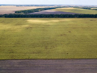 Hava aracı görüntüsü. Ukrayna 'daki tarım alanları.