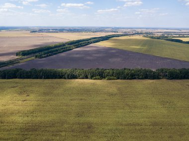 Hava aracı görüntüsü. Ukrayna 'daki tarım alanları.