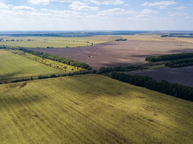 Hava aracı görüntüsü. Ukrayna 'daki tarım alanları.
