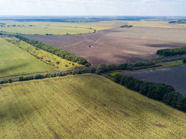 Hava aracı görüntüsü. Ukrayna 'daki tarım alanları.