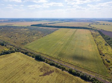 Hava aracı görüntüsü. Ukrayna 'daki tarım alanları.