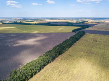 Hava aracı görüntüsü. Ukrayna 'daki tarım alanları.