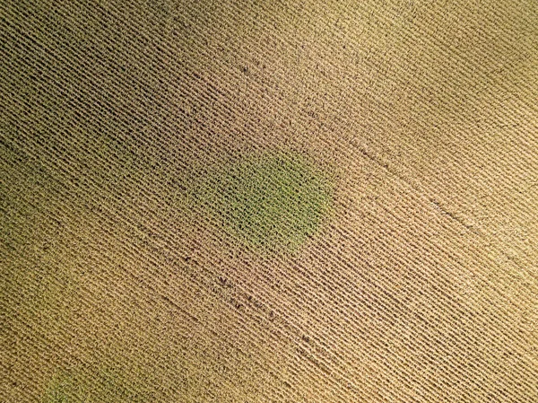 Flygdrönare Höstens Jordbruksfält Ukraina — Stockfoto