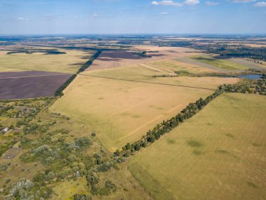 Hava aracı görüntüsü. Ukrayna 'daki tarım alanları.