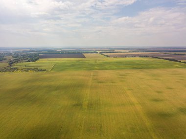 Hava aracı görüntüsü. Ukrayna 'da sonbahar tarım alanları.