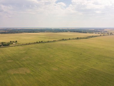 Hava aracı görüntüsü. Ukrayna 'da sonbahar tarım alanları.
