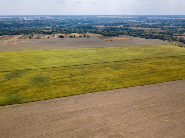 Hava aracı görüntüsü. Ukrayna 'daki tarım alanları.