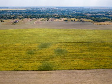 Hava aracı görüntüsü. Ukrayna 'daki tarım alanları.