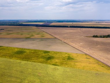 Hava aracı görüntüsü. Ukrayna 'daki tarım alanları.