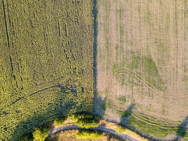 Vista Aérea Drones Campos Agrícolas Outono Ucrânia — Fotografia de Stock