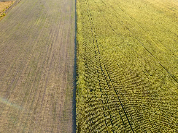 Flygdrönare Höstens Jordbruksfält Ukraina — Stockfoto
