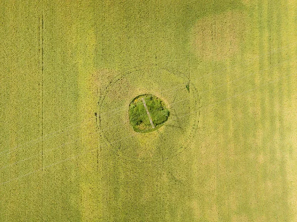 Vista Aérea Drones Linha Energia Através Campo Verde — Fotografia de Stock