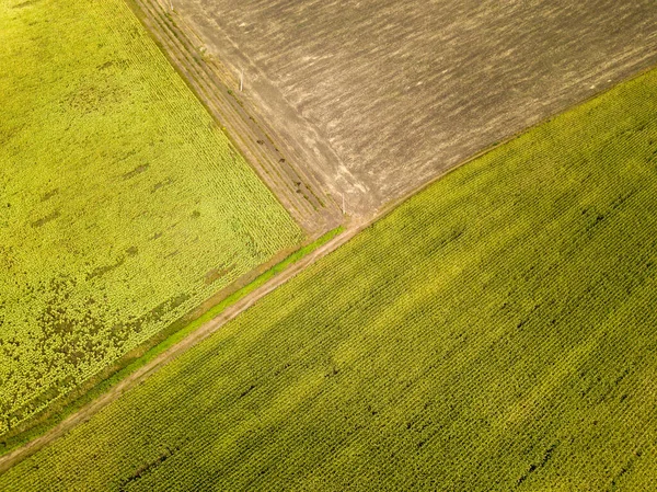 空中ドローンビュー ウクライナの秋の農業分野 — ストック写真