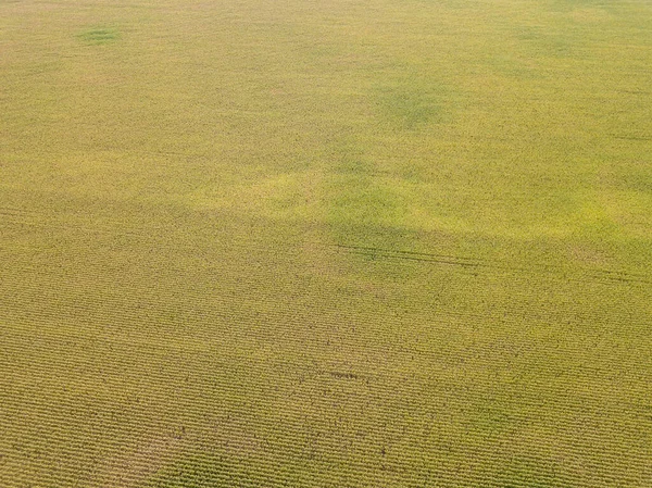 Drohnen Aus Der Luft Landwirtschaftliche Herbstfelder Der Ukraine — Stockfoto