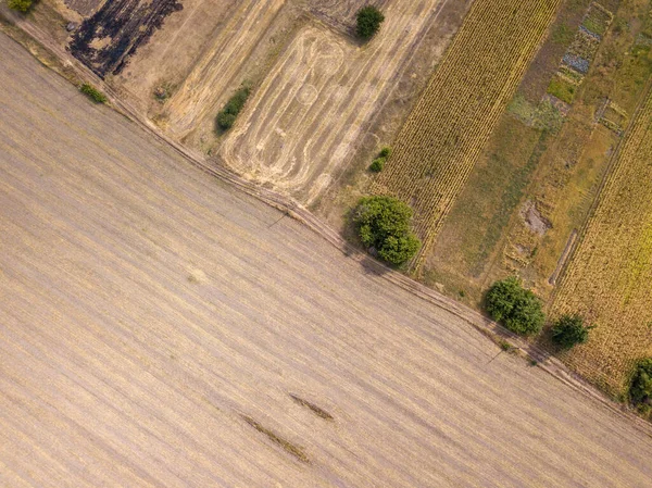 Вид Воздушного Беспилотника Сельское Хозяйство Украины — стоковое фото