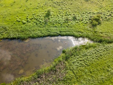 Hava aracı görüntüsü. Country Gölü. Sahilde yeşil çimenler.