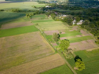 Hava aracı görüntüsü. Ukrayna tarım alanları.