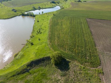 Tarım alanlarının arasındaki göl. Hava aracı görünümü.
