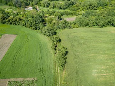 Yeşil tarım alanı. Hava aracı görünümü.