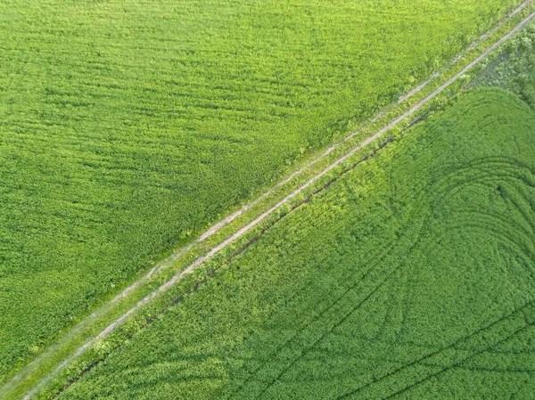 Drohnen Aus Der Luft Straße Durch Landwirtschaftliche Felder — Stockfoto