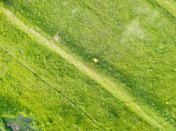 Grüne Wiese Bei Sonnigem Wetter Drohnenblick Aus Der Luft — Stockfoto