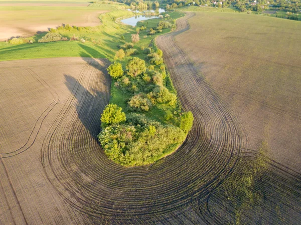 空中ドローンビュー ウクライナの農地 — ストック写真