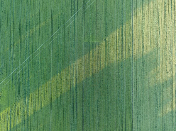 Campo Agrícola Verde Vista Aérea Drones — Fotografia de Stock