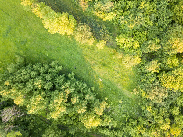 Green meadow in sunny weather. Aerial drone view.
