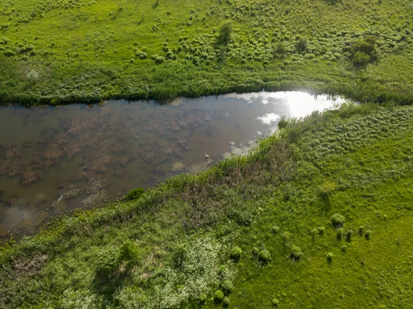 Hava aracı görüntüsü. Country Gölü. Sahilde yeşil çimenler.