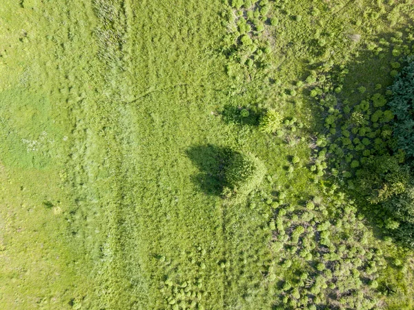 Prado Verde Com Sol Vista Aérea Drones — Fotografia de Stock