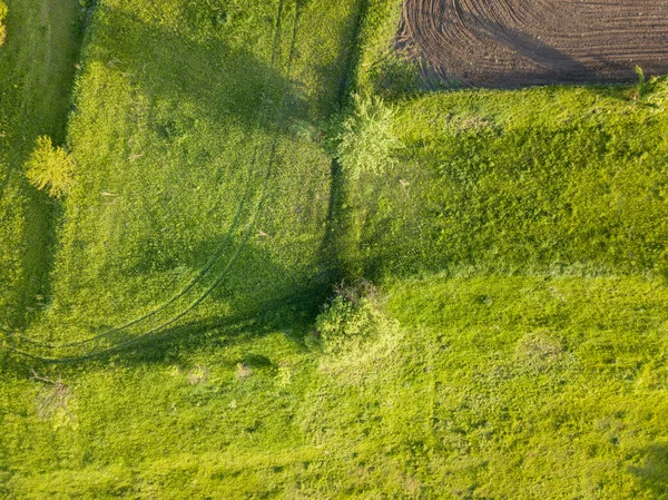 空中ドローンビュー 天気の良い日に緑の草原 — ストック写真