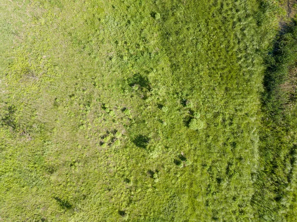 Vista Aérea Del Dron Pradera Verde Tiempo Soleado — Foto de Stock