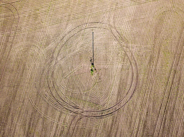 Aerial drone view. Power line poles in agricultural field