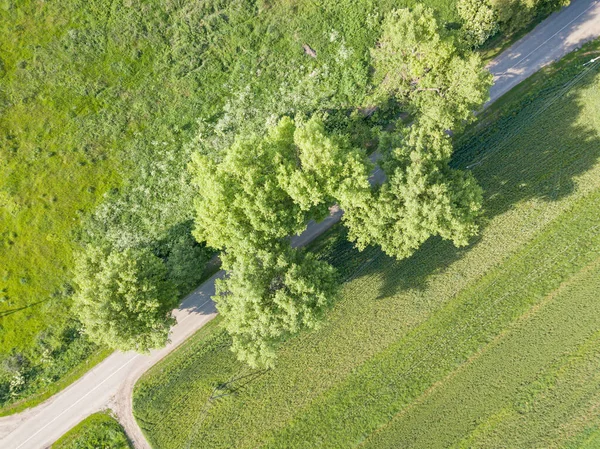 Vista Aérea Del Dron Camino Través Campos Agrícolas — Foto de Stock