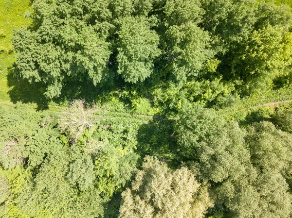 Vidéki Táj Légi Drónra Néző — Stock Fotó