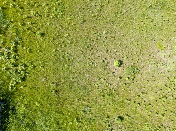 Вид Повітряний Безпілотник Зелений Луг Сонячну Погоду — стокове фото