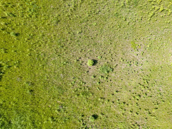 Vista Aérea Drones Prado Verde Tempo Ensolarado — Fotografia de Stock