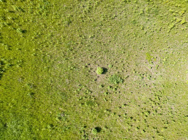 Vista Aérea Drones Prado Verde Tempo Ensolarado — Fotografia de Stock