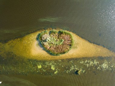 Hava aracı görüntüsü. Nehirdeki küçük yuvarlak ada. Adada çalılıklar var. Adanın yakınında dikdörtgen bir sığlık var..