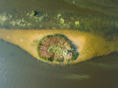 Hava aracı görüntüsü. Nehirdeki küçük yuvarlak ada. Adada çalılıklar var. Adanın yakınında dikdörtgen bir sığlık var..