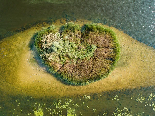Aerial Drone View Small Island River Bushes Island Oblong Shallow — Stock Photo, Image