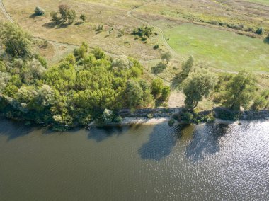 Hava aracı görüntüsü. Nehrin kıyısındaki alçak ağaçlar. Yaz güneşli bir gün.