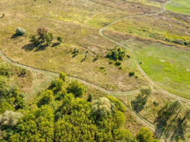 Yeşil çayırların arasındaki toprak yol. Yaz güneşli bir gün. Hava aracı görünümü.