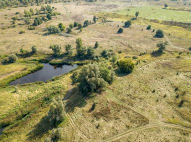 Yeşil çayırlar arasında küçük bir göl. Yaz güneşli bir gün. Hava aracı görünümü.